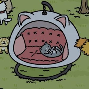 Meet your Posher, Iris